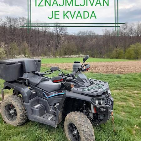 PlavnaEtno Kuca Badejevic别墅 外观 照片
