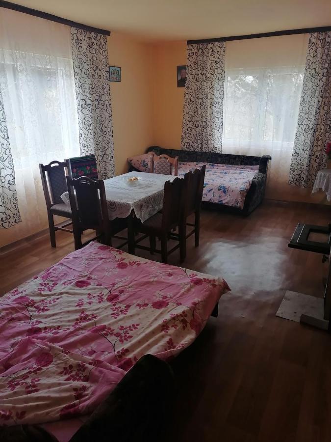 PlavnaEtno Kuca Badejevic别墅 外观 照片