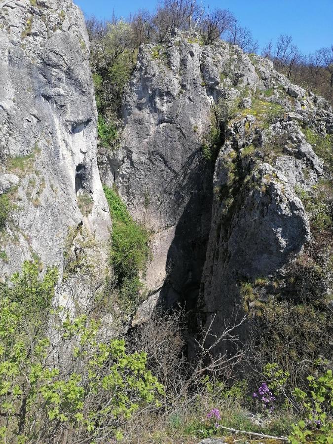 PlavnaEtno Kuca Badejevic别墅 外观 照片