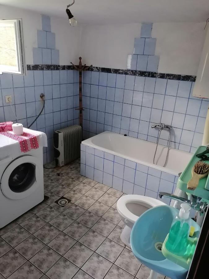 PlavnaEtno Kuca Badejevic别墅 外观 照片